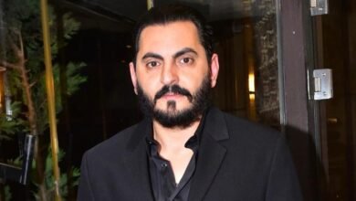 مجموعة عائلة المصري العالمية و مجموعة الفا العالمية سيستثمران مئة مليون دولار في مصر