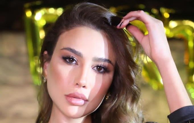 الإعلامية Malak al Housseini تناشد الخيرين للنهوض بالأوضاع المعيشية في لبنان