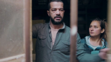 شريف سلامة يشيد بنيللي كريم