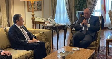 شكرى يبحث مع نائب وزير خارجية كازاخستان العلاقات الثنائية بين البلدين