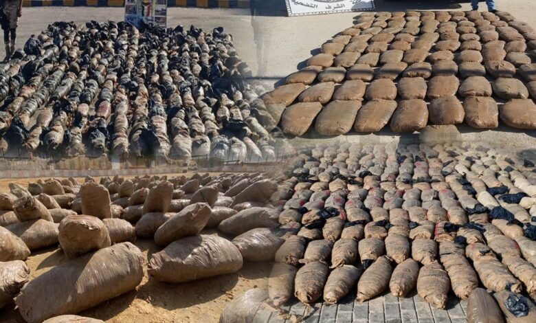 Photo of الجيش المصري يضبط كمية ضخمة من الأسلحة والمخدرات