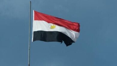 المؤبد لـ 16 متهما في قضية الاستيلاء على 4 خطوط بترول