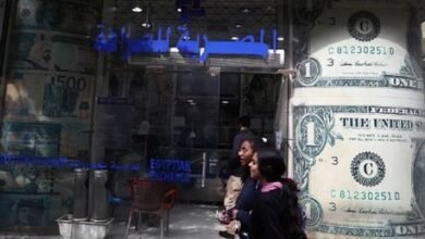 الوليلي: لو جمعنا 25 مليار دولار من مواطنينا بالخارج فلن نحتاج لصندوق النقد الدولي