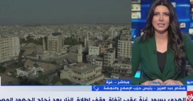 حزب الإصلاح والنهضة: مصر الشقيقة الكبرى والدرع الحامى للمنطقة