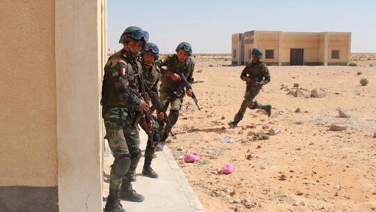 الجيشان المصري والسوداني يستعدان لمواجهة مواقف طارئة على الحدود