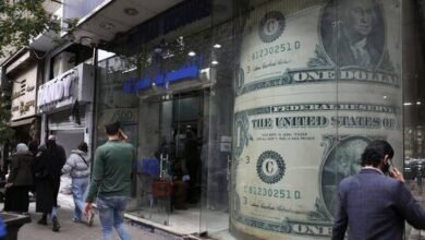 خبير يكشف مفاجأة حول سعر الدولار مقابل الجنية خلال الفترة القادمة
