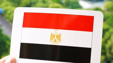 أكبر شركة سعودية في الخليج تضع عينها على مصر