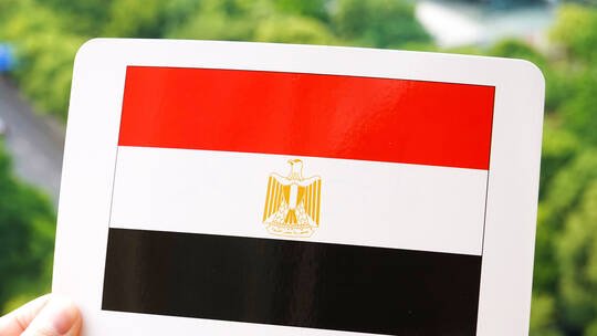 أكبر شركة سعودية في الخليج تضع عينها على مصر