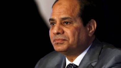 السيسي يجري مباحثات مع نظيره الأرمني في يريفان