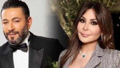 استمرار المعركة القضائية بين زياد برجي و إليسا