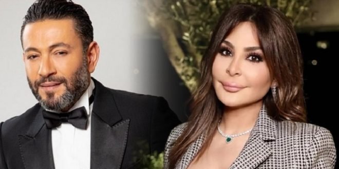 استمرار المعركة القضائية بين زياد برجي و إليسا
