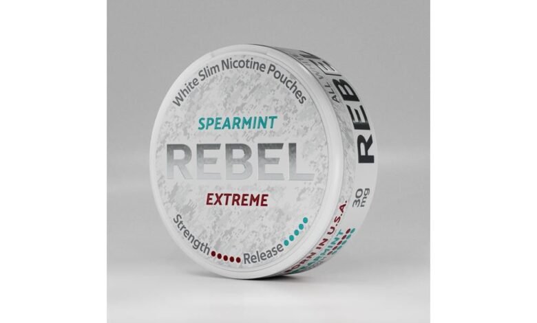 REBEL ترتقي إلى القمة عبر أوروبا… والأسواق العربية تفتح أعينها على نموذج قابل للتطبيق