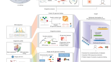 An integrated view of structure and function of human 4D nucleome