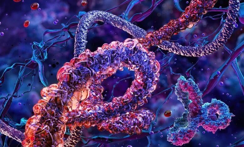 البروتينات الأساسية محصورة في سباق تسلح تطوري لا ينتهي