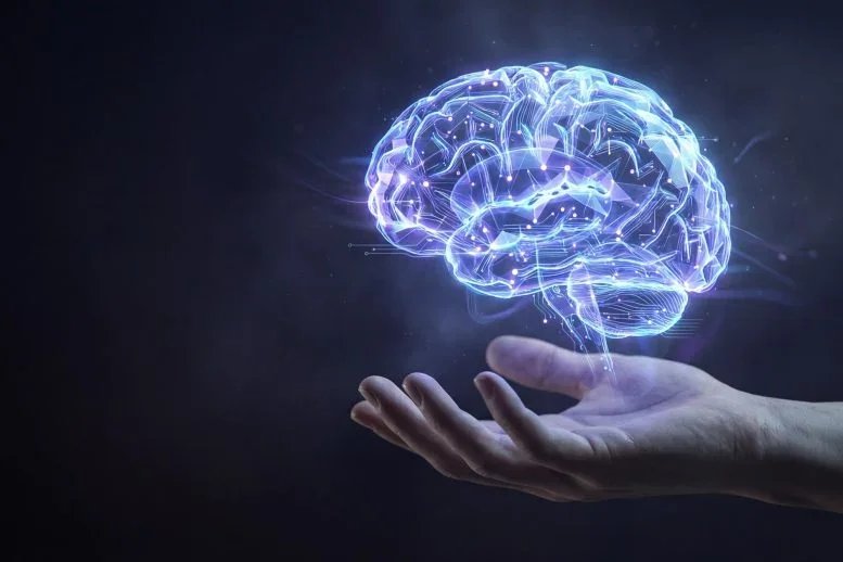 العلماء يحلون لغز الذاكرة العرضية