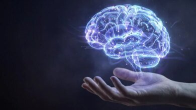 العلماء يحلون لغز الذاكرة العرضية