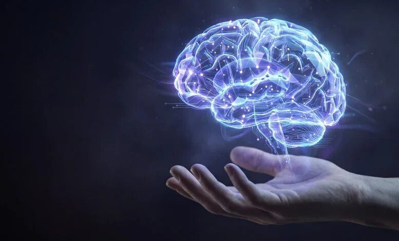 العلماء يحلون لغز الذاكرة العرضية