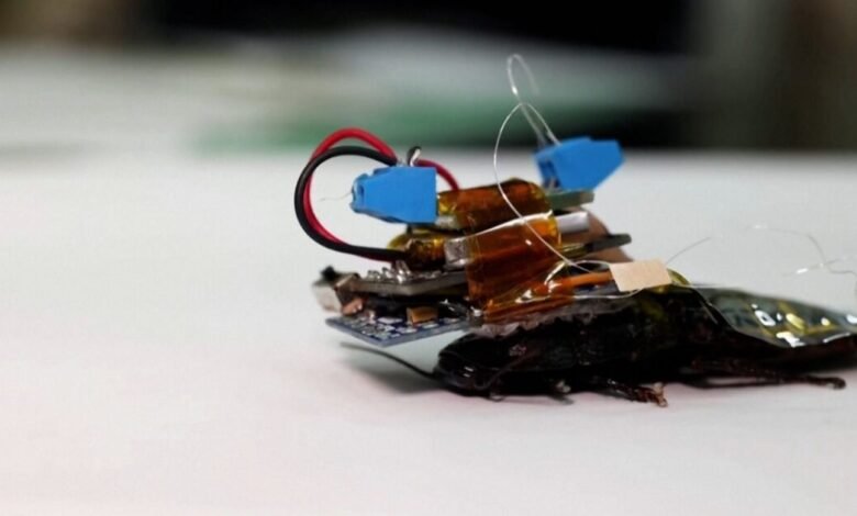 كيوكسيا وسانديسك تعلنان استثمارًا بأكثر من 31 مليار دولار في ذاكرة