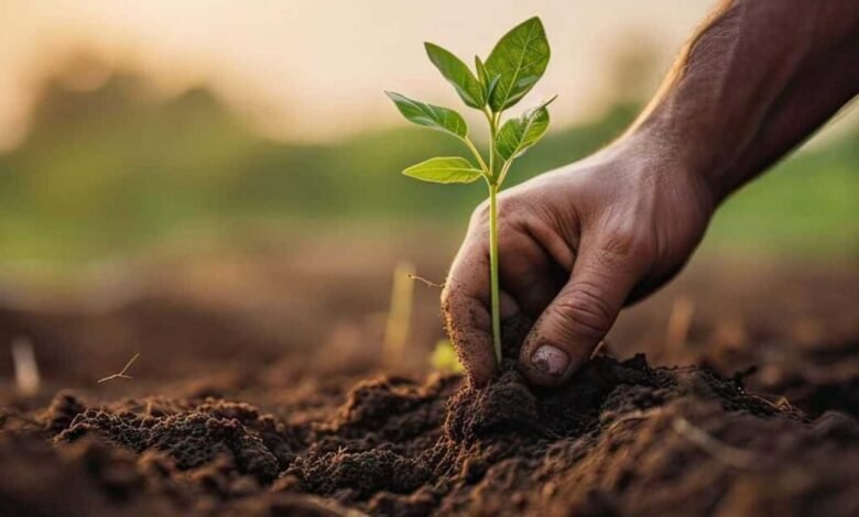 لبنان يدفع نحو الزراعة التعاقدية لربط المزارعين بالإمارات والخليج