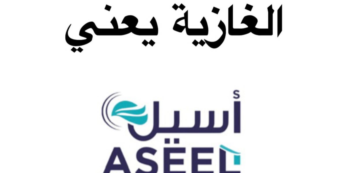 شركة “أسيل” تكتسح سوق المواد الغذائية في الغازية