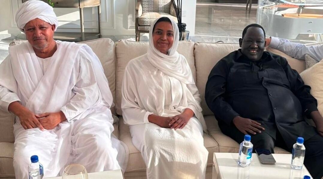 آسيا إبراهيم: رؤية استراتيجية تجمع بين الاستثمار والتنمية والشراكات الدولية